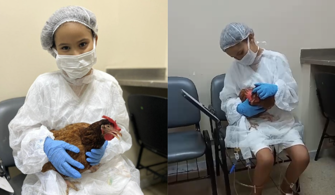 Depois de 29 dias separadas, menina reencontra 'melhor amiga' no Hospital das Clínicas: 'remédio que faltava'