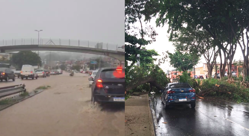 Chuva forte derruba árvores e alaga Via Expressa em Contagem, na Grande BH