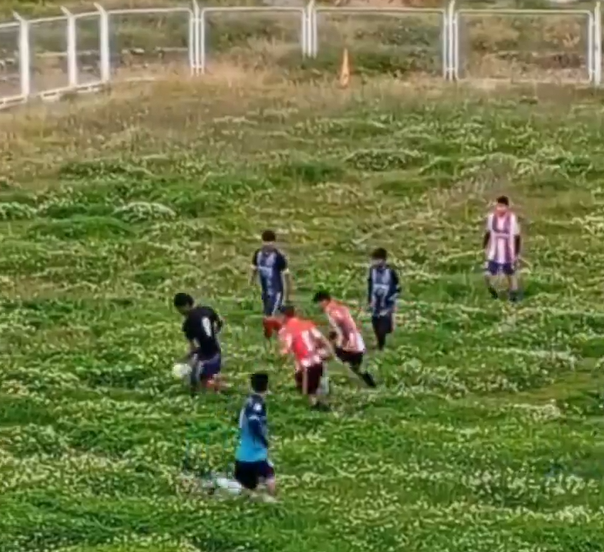 Estádio no Peru viraliza devido ao gramado em péssimas condições; veja