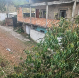 Família que teve casa danificada por árvore pede apoio para reconstrução