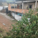 Família que teve casa danificada por árvore pede apoio para reconstrução