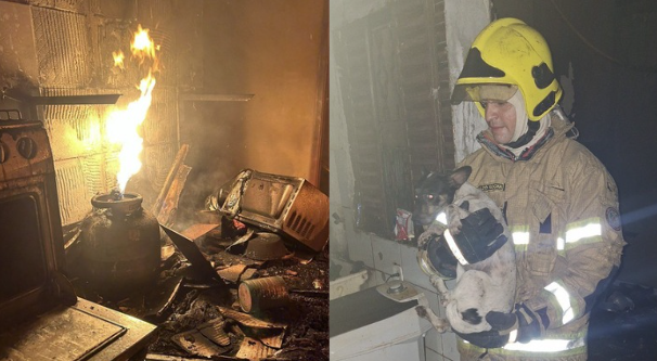 Bombeiros resgatam cãozinho após botijão de gás pegar fogo e incendiar casa em MG