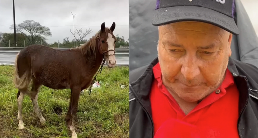 Em meio a alagamentos no RS, moradores resistem a abrigos: 'Não posso abandonar meu cavalinho'