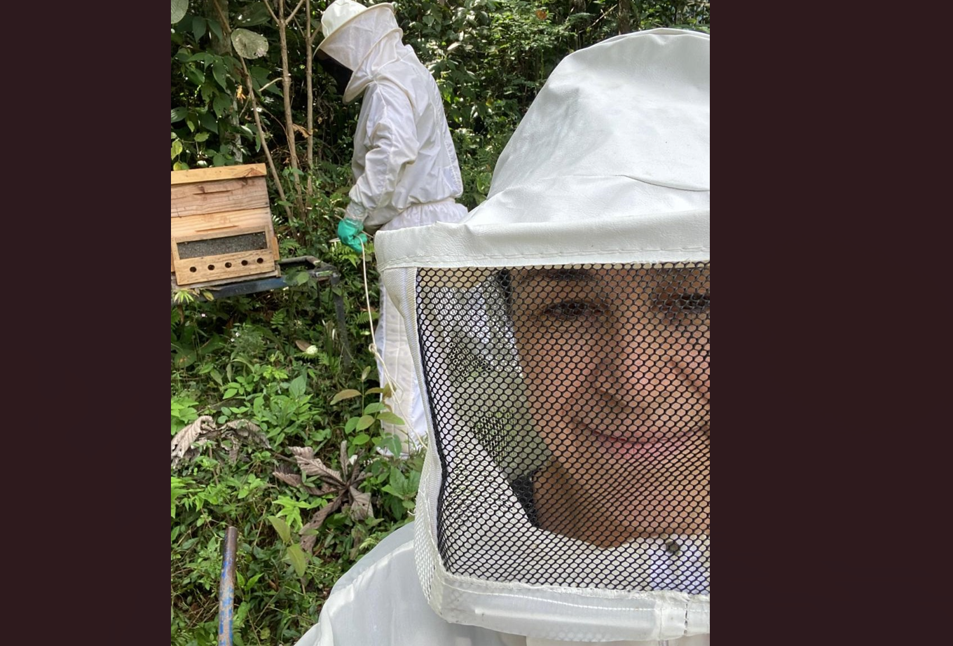 Dia do apicultor: conheça a bailarina que trocou os palcos pela produção de mel e própolis