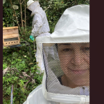 Dia do apicultor: conheça a bailarina que trocou os palcos pela produção de mel e própolis