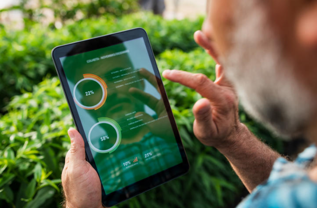 Governo de Minas oferece curso gratuito de elaboração de infográficos para dados turísticos