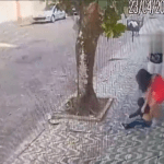 Justiça de SP revoga prisão de mãe que tirou filho à força da avó após devolver menino