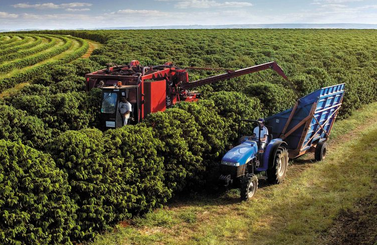 PIB do agronegócio em Minas Gerais cresce 5,9% em 2023