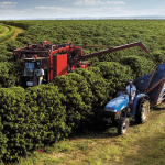 PIB do agronegócio em Minas Gerais cresce 5,9% em 2023