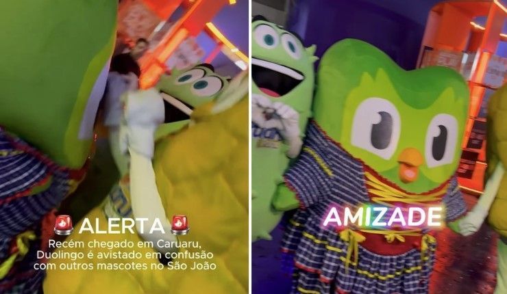 Vídeo: mascote do Duolingo briga com 'Graviola' e 'Abacaxi' durante o São João de Caruaru (PE)