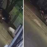 Vídeo: PM encontra motorista que fugiu de acidente sem prestar socorro em MG
