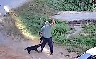Vídeo: idoso é atacado por cães no bairro Lajedo, em BH; moradores dizem que situação é frequente
