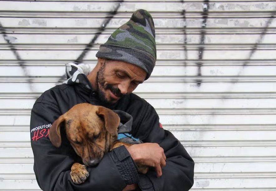 Justiça reconhece cão como membro da família e determina que animal seja devolvido a morador de rua