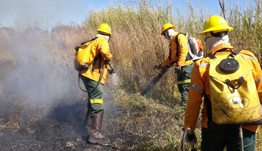 Instituto Habitat promove curso de brigadista florestal na região dos Inconfidentes