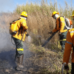 Instituto Habitat promove curso de brigadista florestal na região dos Inconfidentes