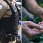 Usuário flagrado com maconha em Minas terá B.O registrado pela PM após decisão do STF; entenda