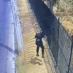 Vídeo: em fuga, suspeitos de roubo invadem condomínio residencial na Grande BH