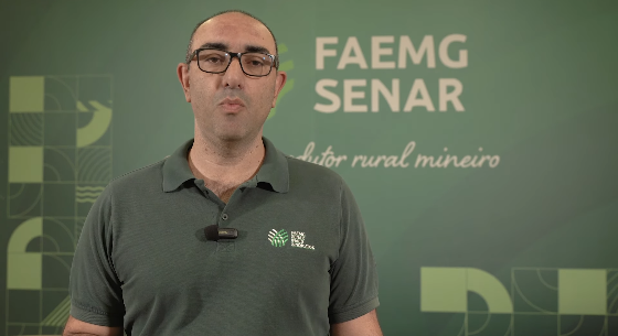 Faemg lança cartilha para prevenir danos causados pelo fogo
