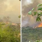 Incêndio atinge área próxima a mina da AngloGold Ashanti em Sabará, na Grande BH