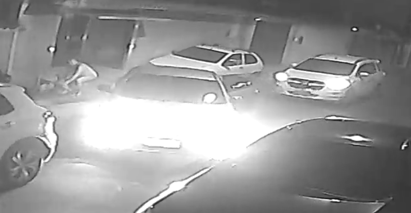 Mulher é assaltada, tenta salvar os nove gatos de estimação e acaba esmagada pelos criminosos