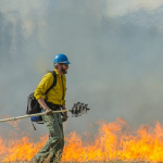Uso de fogo em áreas rurais é permitido por lei em algumas situações; saiba quais