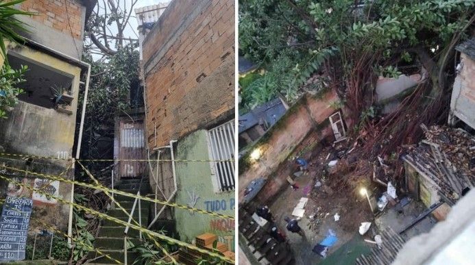 Casa desaba após ser atingida por árvore no Morro do Papagaio, em BH; outras sete foram danificadas