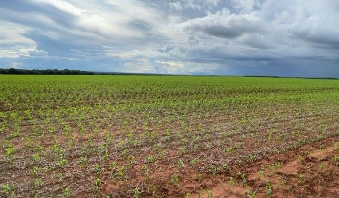Franco Leilões anuncia fazenda avaliada em R$ 21 milhões pela metade do preço; veja como participar
