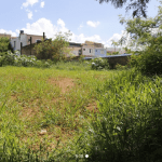 Prefeitura de Alfenas dá início à fiscalização de lotes e imóveis
