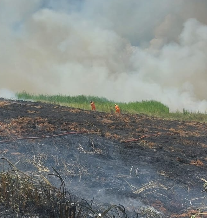 Incêndio consome dois hectares de vegetação em Guaranésia