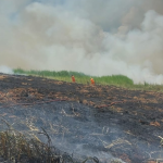 Incêndio consome dois hectares de vegetação em Guaranésia