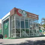 Após Carnaval movimentado, Paulinho posta foto em recuperação no Palmeiras