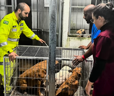 Prefeitura de Ouro Preto resgata 12 animais em situação de abandono durante diligência judicial