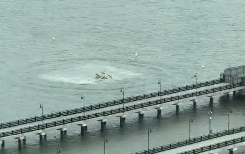 Helicóptero cai no rio Hudson, em Nova York; ainda não se sabe o estado e número de vítimas