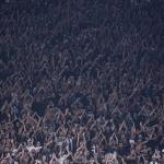 Presidente de organizada do Corinthians pede saída de Ramón: 'Insustentável'