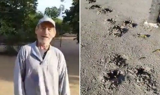 Cunhado 'previu' morte de caseiro uma semana antes de ataque: 'a onça vai comer o Jorge'; VÍDEO