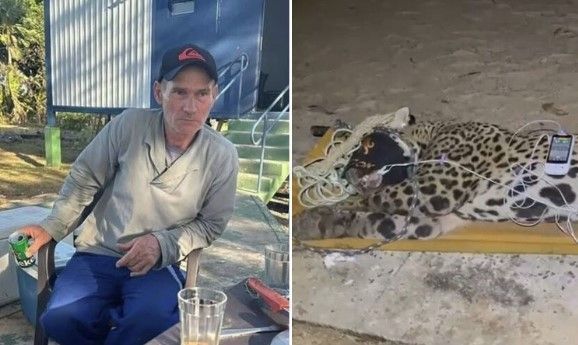 Ataque de onça que matou caseiro no Pantanal é o segundo caso registrado no país