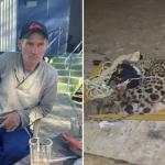 Ataque de onça que matou caseiro no Pantanal é o segundo caso registrado no país