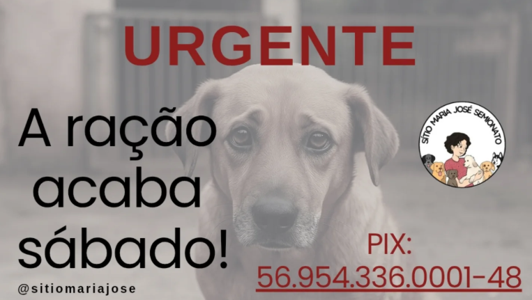 Sítio que abriga animais resgatados precisa de ajuda