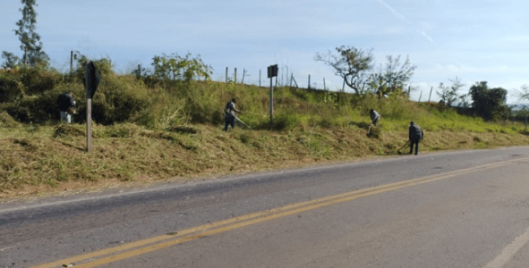 Serviços de poda e capina são realizados.