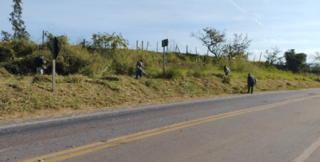 Serviços de poda e capina são realizados.