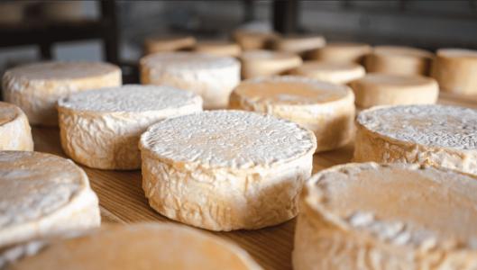 Queijo Minas curado