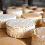 Produtores de Queijo Minas Artesanal ganham o mundo com apoio da Anglo American