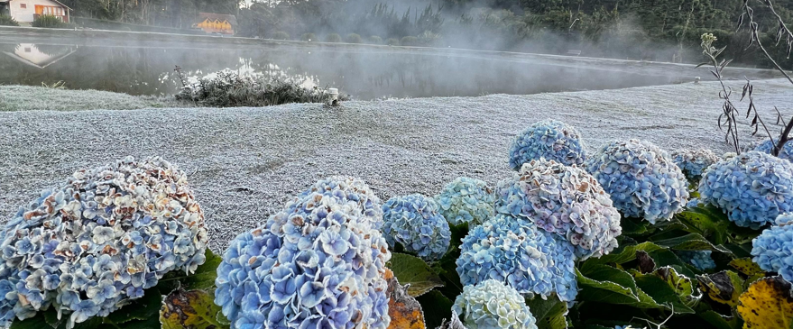 Frio deve “aquecer” vendas no Sul de Minas, aponta pesquisa