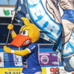 Jogos deste sábado pelo Módulo II do Campeonato Mineiro