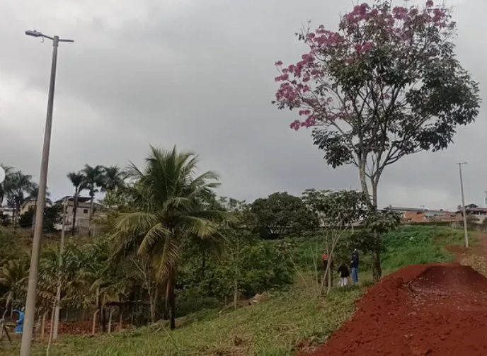 Varginha: Parque dos Dinossauros recebe mudas de árvores frutíferas
