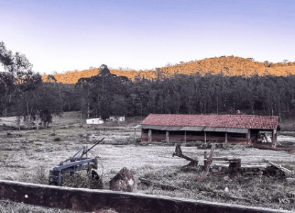 Município amanheceu com uma fina camada de gelo nos campos.