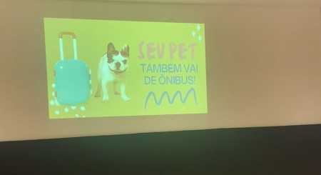 Os ônibus intermunicipais são obrigados a transportar os pets, cães e gatos