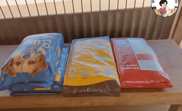 Sítio que ajuda animais abandonas pede doações de ração