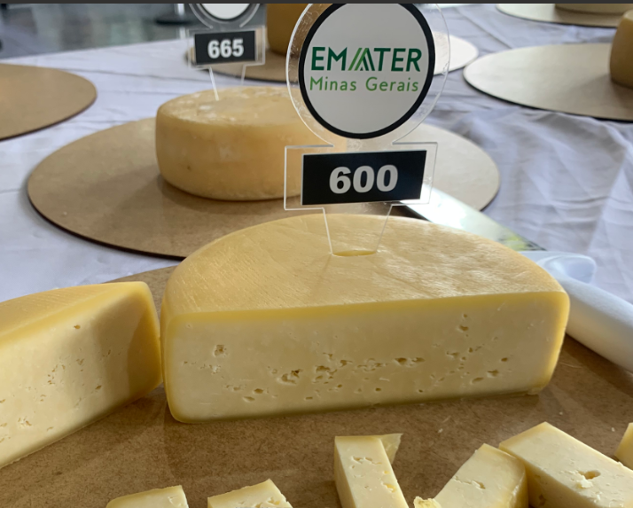 Produtores de queijo podem se inscrever em um concurso da Emater