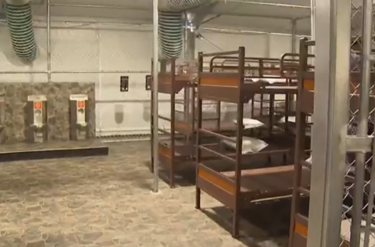 Juiz permite que indígenas entrem com ação contra “Jacaré de Alcatraz” nos EUA